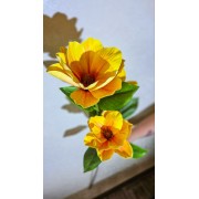 Магнолія латексна
